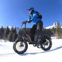 Bicicleta Eléctrica Plegable Fafrees F20 Max, Neumáticos Anchos de 20"x4.0", Motor sin Escobillas de 500W, Velocidad Máxima de 25Km/h, Frenos de Disco Delanteros y Traseros, Cambio SHIMANO de 7 Velocidades, Capacidad Máxima de 150 Kg - Azul Aurora - details 1