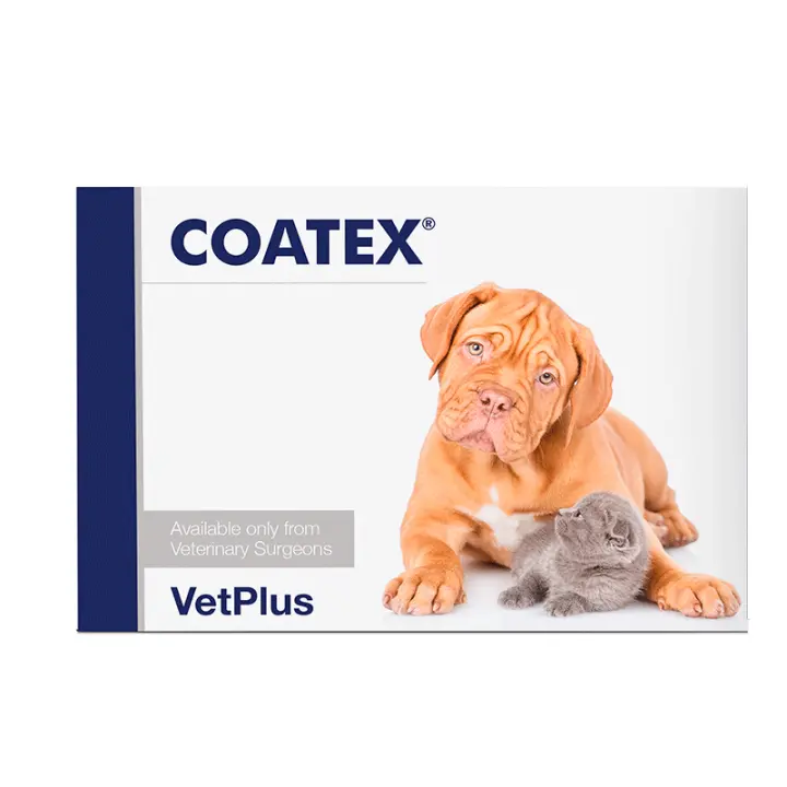COATEX 60 CAPSULAS (VETPLUS) - 1