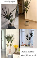 Planta Artificial De Dracaena Tropical Grande 90-120 Cm En Maceta Hojas De Palmera Falsas Para Decoración De Interiores Y Jardín - details 9