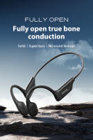 Sanag B22s Auriculares De Conducción Ósea 16Horas De Reproducción IPX5 Impermeable Bluetooth5.3 Campo De Sonido Espacial Dinámico - details 0