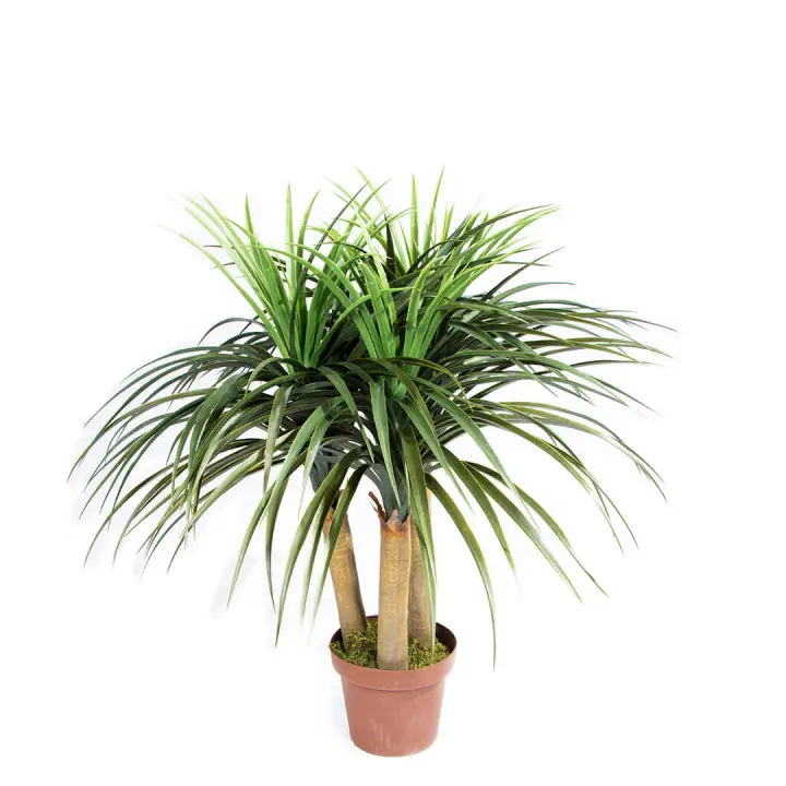 Nortene | Planta Artificial Nolina Mini 75 Cm | Plantas Artificiales Realistas | Decoración Para Hogar Y Oficina | Planta Artificial Grande | Perfecta Para Ambientes Modernos - 1