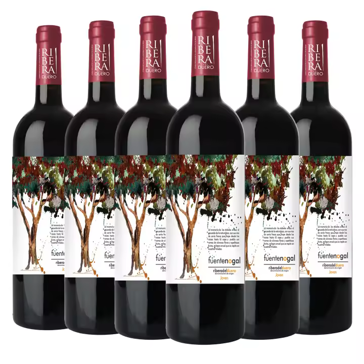 ARTE SABOR Caja de 6 botellas de vino Fuente Nogal Joven, Ribera del Duero, 100% Tempranillo. Vendimia del 2023. 75cl con 14,5% vol. 7x7x32 Cm. - 1