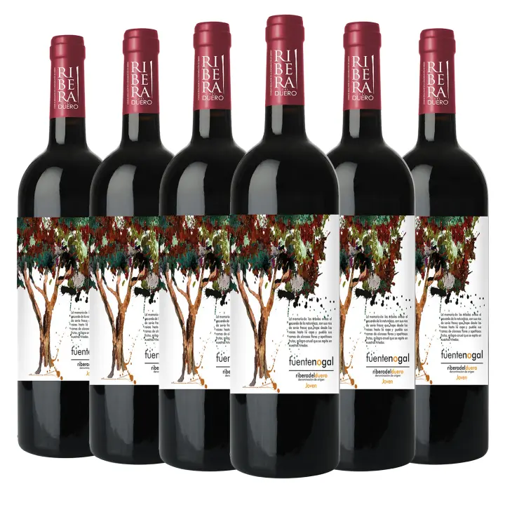 ARTE SABOR Caja de 6 botellas de vino Fuente Nogal Joven, Ribera del Duero, 100% Tempranillo. Vendimia del 2023. 75cl con 14,5% vol. 7x7x32 Cm. - 1