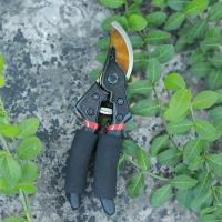 Tijeras De Jardinería Para Podar Árboles Frutales Herramienta De Poda Floral Para Recoger Frutas YOUZHI Originales De China - details 2