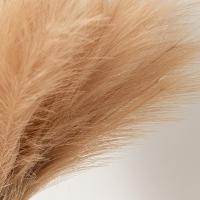 5 Pcs Pampas De Otoño Artificiales Para Decoración De Navidad Y Bodas Arreglo De Flores Para Manualidades Y Caja De Caramelo Plantas Falsas De Seda Para Exposición En Escritorio - details 9
