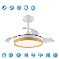 Akunadecor - Ventilador de techo modelo DOÑANA S blanco/haya motor DC 6 velocidades Tecnología Led 46W sistema CCT 4620Lm Control remoto con temporizador, luz regulable en color e intensidad, Memoria motor inverter verano/invierno ultra silencioso. - details 0