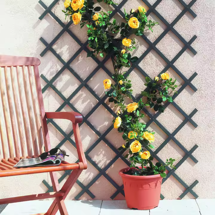 Nortene | Celosia Extensible Pvc Trelliflex Antracita | Decoración Para Terraza Y Jardín | Ideal Para Ambientes Elegantes | Diseño Decorativo - 1