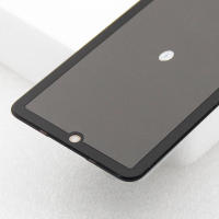 Pantalla De Repuesto Para Xiaomi Poco X4 pro 5G 6.67