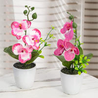 Orquídea Artificial Falsa Phalaenopsis Plantas Bonsái Para Interiores Y Exteriores Decoración De Oficina Hogar Bodas Y Eventos - details 2