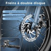 FAFREES F20 Light Bicicleta Eléctrica Plegable para Ciudad Motor de 48V 250W Velocidad Máxima de 25km/h Batería de 14.5Ah Neumático de 20*1.95'' Cambio Shimano de 7 velocidades - details 8