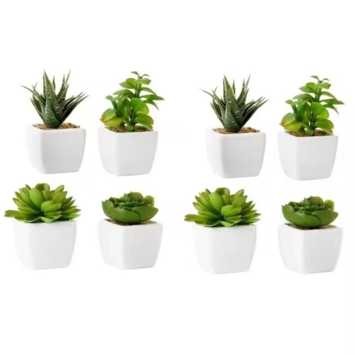 Dcasa Set de 8 plantas artificiales cactus con maceta blanca de porcelana de 5x5x10 cm - 1