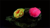 Decoración De Acuario Coral Fluorescente Miniatura Adorno Para Tanque De Peces Jardín De Coral En Miniatura - details 1