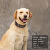 Collar De Cuero Genuino Para Perros Medianos Y Grandes Con Espinas Ajustable Para Pitbull Bulldog Collar De Mascota Con Colgante Para Todas Las Estaciones - details 10