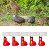 5Pcs Copas De Bebida Para Pollos Plásticas Dispensador Automático De Alimentos Para Pato Ganso Héroe Y Pollo Herramientas De Cría De Ganado - details 1