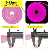 Tira De Luces LED Neón Flexible De Silicona 5M 600 LEDs 12V Impermeable Para Decoración De Jardín Y Hogar Tubo De Cinta Luminosa - details 14