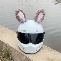 Decoración De Gafas De Invierno Conejo Rabioso Para Casco De Bicicleta Eléctrica Y Motocicleta Accesorio De Cabeza De Peluche Lindo Un Par - details 0