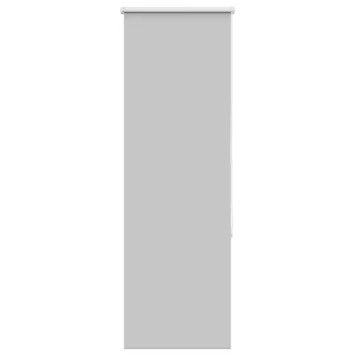 vidaXL Estor Enrollable Opaco gris claro 40x150 cm Tela Ancho 35,7 cm - 1
