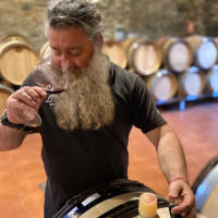 Lagareta Gourmet Vino Tinto El Rapolao - La Vizcaína - 2020 - Bodega y Viñedo Raúl Perez - details 0