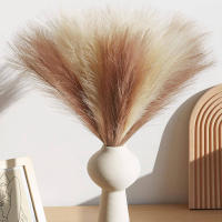10PCS Pampas Artificial Para Decoración De Casamiento Y Hogar Accesorios De Flores Para Vaso Y Decoración De Habitación Estilo De Planta Silken - details 3