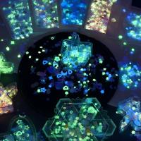10g Mezcla De Lentejuelas Luminosas Para Brillar En La Oscuridad Con Diseño De Nieve Y Pluma Redonda Concauda Para Decoración De Joyería Y Uñas - details 8