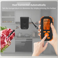 Termómetro De Carne Inalámbrico Digital Con Dos Probes Rango De 328 FT Para Barbacoa Horno Asador Cocina Herramienta De Medición Metal - details 1