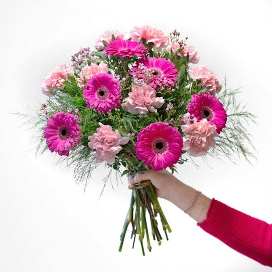 Hestia Ramo de gerberas fucsias y claveles rosas para regalar energía positiva. Entrega por una floristería