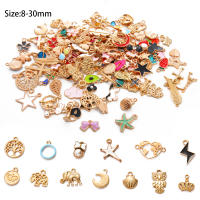 Alrededor De 10 Piezas De Llaveros De Aleación Pequeñas Mezcladas Para DIY Pulseras Collares Y Pendentivos De Ropa Joyería Irregular Fashion - details 3