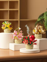 Bloques De Construcción DIY En Forma De Flor Con Plantas Suculentas Modelo De Bonsái Jardín Romántico Para Niños Y Adultos - details 5