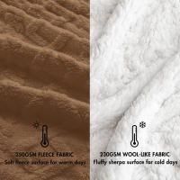 Almeritex Manta Sofa de Borrego, Manta Doble Cara Franela y Sherpa, 100% Poliester, Suave y Caliente para Invierno, 130x160 160x220 220x240 - details 15