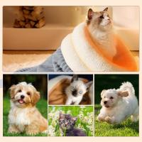 Bolsa De Dormir Para Gato Confort Semi-Abierta Escondite Para Mascotas Cueva De Abrazo Tres Capas Silla Caliente Para Camping - details 5