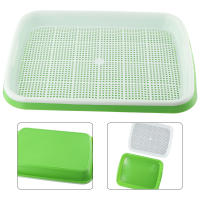 Plato De Crecimiento Sprout 33cmx26cmx5cm Para Microgreens Sistema Hidroponico De Sprouts Herramienta De Jardinería Y Agricultura - details 12
