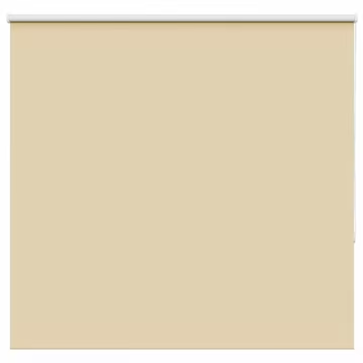vidaXL Estor Enrollable Opaco Beige 155x150 cm Tela Ancho 151,6 cm - 1