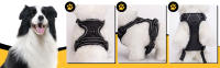 Nobleza - Arnes Perro Pequeño, Arnes Perro Antitirones con Lineas Reflectantes, Cómodo Transpirable Acolchada Ajustable Arneses Tipo Chaleco para Perros para Adiestramiento, Paseo - details 1