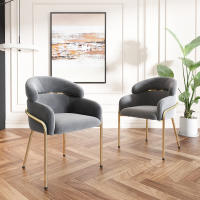 Juego de 2 Sillas de Salón Terciopelo Lujoso y Ligeras | Cuatro Pata de Metal Resistentes | Estilo Moderno para Sala de Estar, Dormitorio y Espacios de Ocio - details 0
