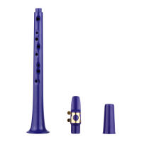 Saxofón Mini De Bolsillo C Con 11 Agujeros ABS Con Boquilla De Alto 4 Piezas De Acrílico 8 Piezas De Almohadillas Dentales 8 Piezas De Reeds Y Carteles De Dedos - details 19
