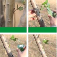 6pcs Cinta De Enraizamiento PVC Para Jardinería 3cm Cinta De Atado Para Engrafia Y Podar Herramienta De Podar Con Cuchillas De Enraizamiento - details 9