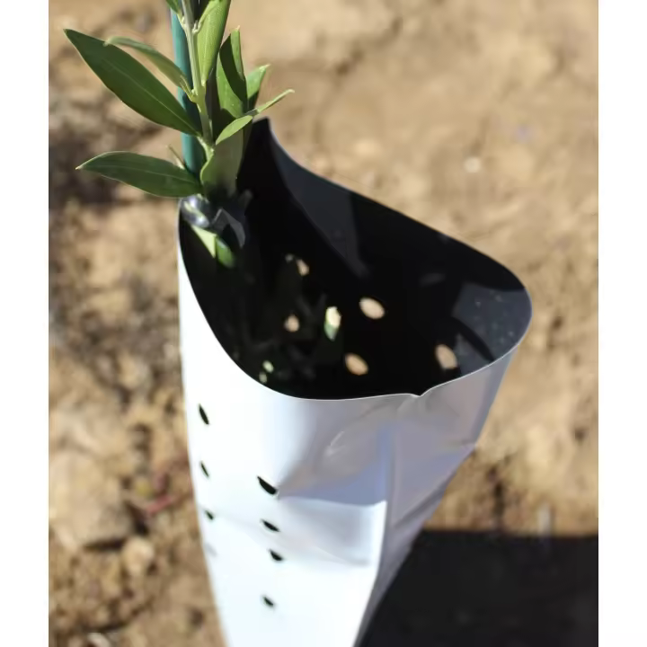 Protector arbol bolsa 60x18 bicapa perforado 600 galgas  50uds - 1