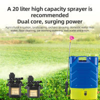 Bomba De Agua Portátil Doble Motor 12V Bomba De Diáfragma Con Interruptor De Presión 1.1Mpa Flujo De 8.0LPM Para El Hogar - details 3