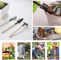Conjunto de herramientas de jardín, mini conjunto de herramientas de jardín de interior, conjunto completo de herramientas, adecuado para interior o plantación en maceta, total de 16 piezas - details 1