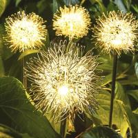 Lámpara Solar De Jardín Con Balón De Hierro Y Remolinos Flor LED Exterior Impermeable Decoración De Noche Para Atrio Artística - details 9
