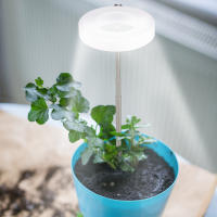 Luz De Crecimiento LED Solar Interior De Espectro Completo Con Cuatro Niveles De Ajuste Para Plantas Carníferas Y Flores Luz De Relleno Telescopio Para Suelo - details 4