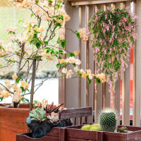 Vine Artificial Colgante En Maceta Decorativa De Flores Falsas De Lavanda Para Decoración De Casas Y Eventos Como Bodas - details 6