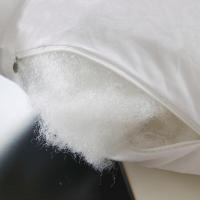 Almohada Blanca De Inserción De Algodón Para Sofá Y Coche Core De Almohada Suave Empaquetado En Vacío Moderno Para Adultos - details 1