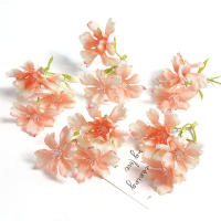 10/20Pcs Plantas Artificiales Flor De 10cm Decoración Para Hogar Jardín Bodas DIY Corona Accesorios Caja De Regalo Estilo De Flor De Seda - details 5