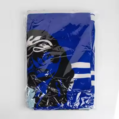 TOALLA MICROFIBRA HARRY POTTER RAVENCLAW - 1