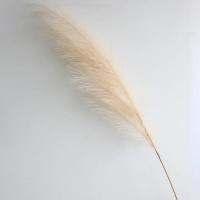 Decorativo Artificial De Pampas Alta Y Fluffly Para Decoración De Hogar Y Dormitorio Estilo Bohemio Flores De Seda Para Bodas Y Fiestas Navideñas - details 8