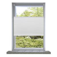vidaXL Plisse Persiana Blanco Cortina Plisada 100X150cm - details 0