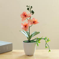 Orquídea Artificial Falsa Phalaenopsis En Maceta Para Interiores Y Exteriores Decoración De Oficina Hogar Bodas Y Eventos - details 2