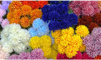 Bola De Flores Artificiales Con 9 Cabezas Chrysanthemum Y Hydrangea Decoración Para El Hogar Y Boda DIY Arreglo De Plantas Verdes - details 11