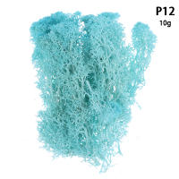 1Pc Moss Artificial De Colores Naturales Para Decoración De Joyería Jardín Y Epoxy Resina Decorativa Para Mesa - details 23